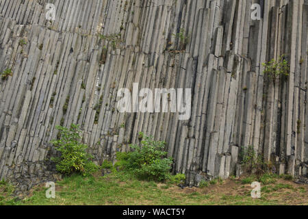 Dans le basalte columnaire jointed rock formation Panská skála (Lord's Rock) près de Kamenický Šenov en Bohême du Nord, en République tchèque. Banque D'Images