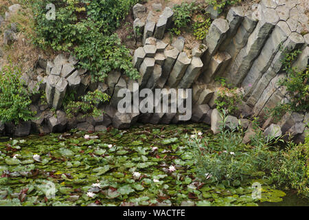 Dans le basalte columnaire jointed rock formation Panská skála (Lord's Rock) près de Kamenický Šenov en Bohême du Nord, en République tchèque. Banque D'Images