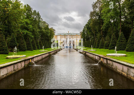 Les fontaines d'eau et canal bordé d'arbres verts conique, Peterhof Palace et jardins à la fin de l'été, Petergof, Saint-Pétersbourg, Russie Banque D'Images