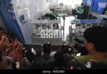 Les visiteurs de prendre des photos de paires de jumeaux pandas géants dans des incubateurs au zoo de Chongqing, Chine, le 23 juillet 2019. Deux pandas géants dans un zoo dans le sud-ouest Banque D'Images