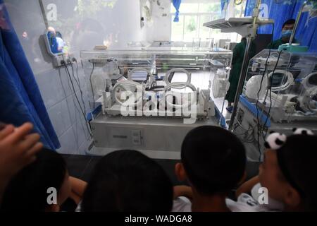 Les visiteurs de prendre des photos de paires de jumeaux pandas géants dans des incubateurs au zoo de Chongqing, Chine, le 23 juillet 2019. Deux pandas géants dans un zoo dans le sud-ouest Banque D'Images