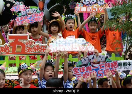 Triplés assister à une cérémonie pour célébrer le 5e anniversaire du monde le seul panda géant triplés Meng Meng, Shuai Shuai et Ku Ku à la Ch Banque D'Images