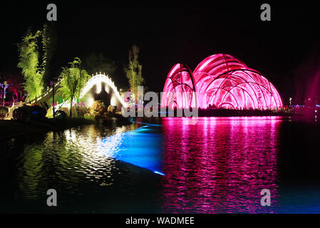 Spectacle de lumière holographique à la Nanyang World Grand jardin rose montre des images naturelles, c.-à-d, dragons chinois, Fireworks, beauté, Phoenix et le comme Banque D'Images