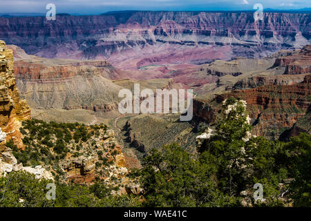 Vue depuis la rive nord de la rivière Colorado qui serpente dans le Grand Canyon Banque D'Images