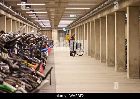 La Haye, Pays-Bas. Août 19, 2019. Une femme est sur son vélo au parc pour une nouvelle installation de stationnement pour vélos à Utrecht, Pays-Bas, le 19 août 2019. Couvrant une superficie de 17 100 mètres carrés, les trois étages garage a 12 500 places de stationnement. Credit : Sylvia Lederer/Xinhua Banque D'Images