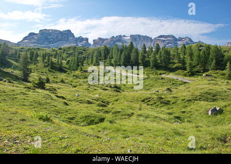 Prairies et forêt en Dolomites de Brenta avec Rocky et montagnes enneigées en arrière-plan Banque D'Images