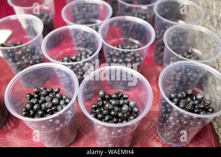 Bols en plastique de bleuets frais en vente sur un marché agricole local. Banque D'Images