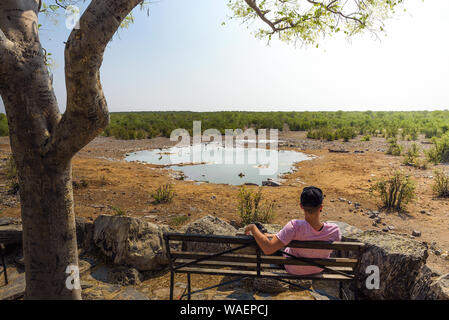 Pour les espèces sauvages en attente touristique le point d'eau près de Moringa, Etosha, Namibie Halali Banque D'Images
