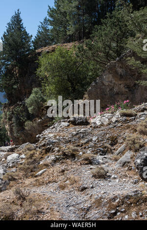 Gorges de Samariá Crete Banque D'Images