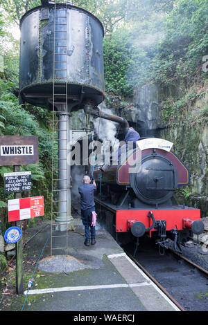 Victor locomotive vapeur remplissage avec de l'eau à Haverthwaite que gare au bord du lac et Haverthwaite que Heritage Railway près de Ulverston, Cumbria, Royaume-Uni Banque D'Images