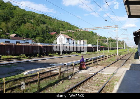 Montres femme une gitane un train plein de bois fraîchement coupé dans la ville de Sighisoara Transylvanie en Roumanie. Photo par Adam Alexander Banque D'Images