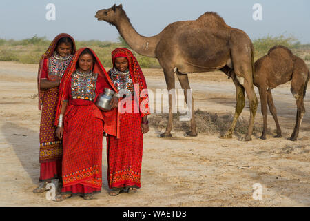 Les femmes Me Fakirani dans un tissu avec une cruche d'eau, grand désert du Rann de Kutch, Gujarat, Inde Banque D'Images