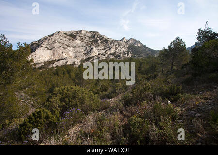 Regardant vers la chaine des Alpilles de près de Vallonge France Février 2016 Banque D'Images