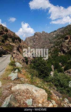 Scala di Santa Regina gorges et montagnes, Parc Naturel Régional de Corse, France, juillet 2018 Banque D'Images