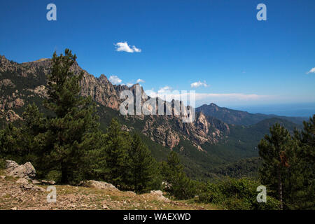 Col de Bavella et pin laricio Pinus nigra subsp. laricio avec la mer au-delà, Corse, France, juillet 2018 Banque D'Images