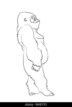 Vector illustration d'un gorille, dessin de lignes, vecteur, fond blanc Illustration de Vecteur