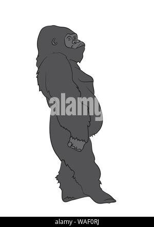 Vector illustration d'un gorille, dessin couleur, vecteur, fond blanc Illustration de Vecteur