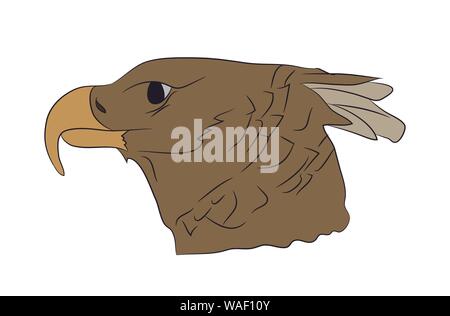 Vector illustration d'un portrait d'un aigle, un dessin en couleur, fond blanc Illustration de Vecteur