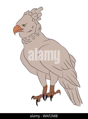 Siège de l'aigle dans sa coloration, vecteur, fond blanc Illustration de Vecteur