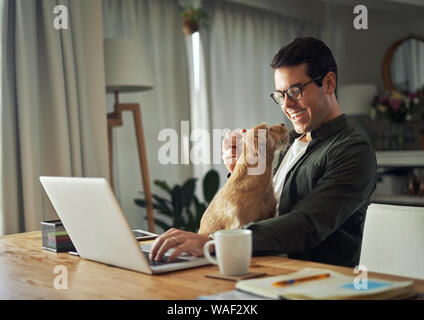 Cheerful man Playing with dog while using laptop Banque D'Images