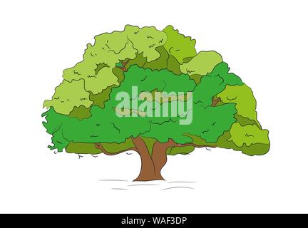 Grand arbre couleur du dessin, vecteur, fond blanc Illustration de Vecteur