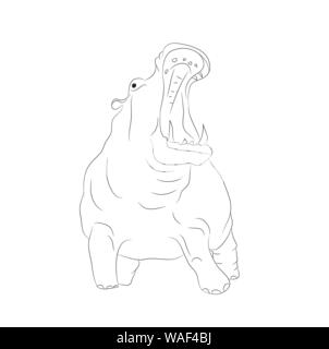 Hippo est utile de tracer des lignes, vecteur, fond blanc Illustration de Vecteur