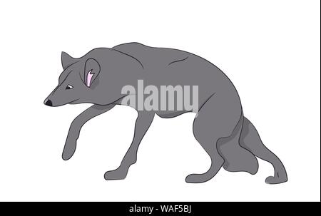 Vector illustration loup, fond blanc Illustration de Vecteur