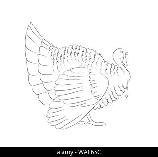 Rôti de dinde pour Thanksgiving Day dessin de lignes vector fond blanc Illustration de Vecteur