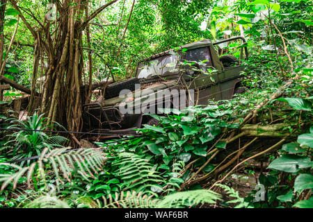 Vieille jeep militaire cassée dans la jungle a frappé l'arbre Banque D'Images