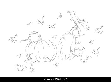 Pumpkins sur laquelle le corbeau se trouve sur l'halloween, lignes, vecteur, fond blanc Illustration de Vecteur