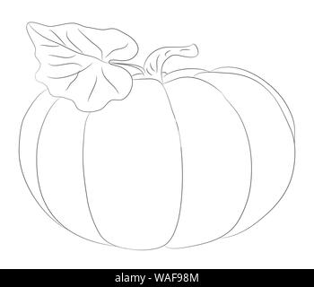 Fruits et légumes les lignes, vecteur, fond blanc Illustration de Vecteur