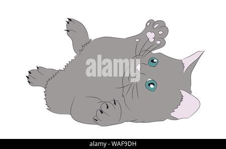Cat vecteur de couleur, fond blanc, couleur de chat, vecteur, fond blanc Illustration de Vecteur