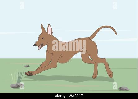Chien qui court en avant, sur le terrain en plein air, vecteur Illustration de Vecteur