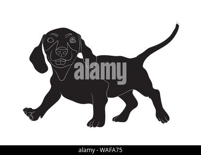 Peuplements teckel, chien, silhouette, vecteur, fond blanc Illustration de Vecteur