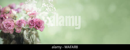 Bouquet de rose rouge ou une bannière sur la frontière verte avec copie espace Banque D'Images