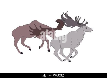 Vector illustration of deer qui lutte, Scénario, Dessin, Couleur sur fond blanc Illustration de Vecteur