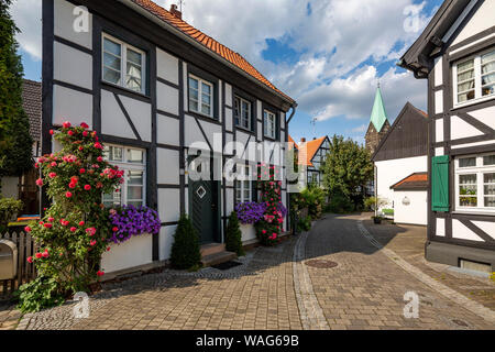 Vieille personne, vieille personne, Vieille Ville Lane, l'architecture, de l'extérieur, l'enregistrement sur le terrain, bâtiment, Blendladen, fleur, décoration florale, maison de ville, Chris Banque D'Images