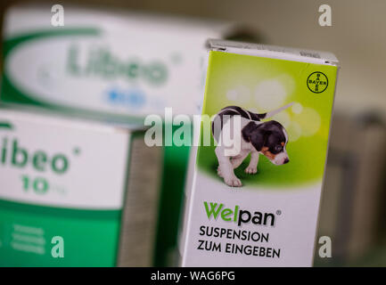 Bad Nauheim, Allemagne. Août 12, 2019. Un médicament pour les chiens à partir de Bayer est dans un refuge pour animaux dans l'armoire à pharmacie. Les produits chimiques agricoles et des produits pharmaceutiques Bayer groupe vend ses produits pharmaceutiques vétérinaires à la division de la société américaine Elanco pour 7,6 milliards de dollars (USD 6,85 milliards d'euros). Cela a été annoncé par Bayer à Leverkusen le 20 août 2019. Crédit : Frank Rumpenhorst/dpa/Alamy Live News Banque D'Images