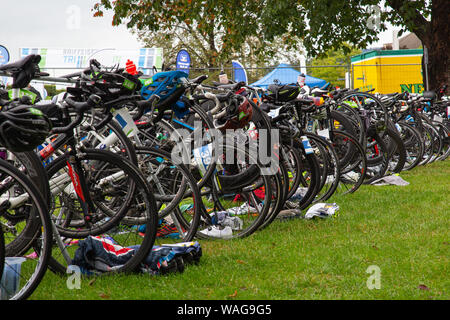 , Neuwied Rheinland-pfalz, Allemagne - le 18 août 2019 : course de vélos des concurrents de la Raiffeisen Triathlon Banque D'Images