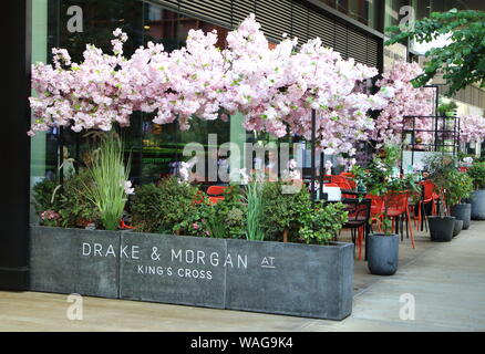 Londres, Royaume-Uni. Août 19, 2019. Bar à cocktails et un restaurant Drake & Morgan dans le récemment élaboré et Pancras Kings Avenue Square de Londres derrière la gare de Kings Cross. Credit : Keith Mayhew SOPA/Images/ZUMA/Alamy Fil Live News Banque D'Images