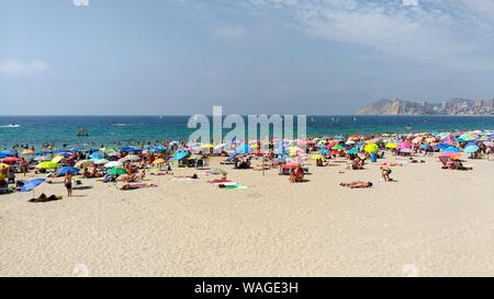 Vue panoramique sur la plage bondée de Benidorm, Espagne Banque D'Images