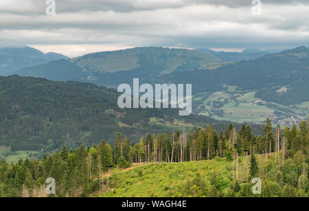 Vue pittoresque du haut de la montagne, paysage de forêts, de pâturages, de prairies et de petits villages avec un ciel nuageux couvrant les Alpes. Banque D'Images