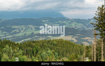 Vue pittoresque du haut de la montagne, paysage de forêts, de pâturages, de prairies et de petits villages avec un ciel nuageux couvrant les Alpes. Banque D'Images