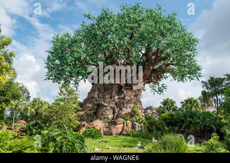 Orlando, Floride. 14 août, 2019. .Belle vue de l'arbre de vie à Animal KIngdom à Walt Disney World Area Banque D'Images