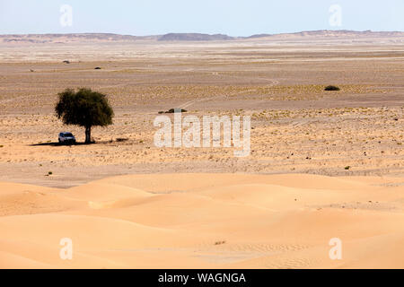 Une voiture à l'ombre d'un arbre solitaire dans la cannelle Désert, désert entre Mahout et Duqm, Oman Banque D'Images