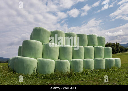 Balles de foin ensilage à Planinsko polje (Planina plain), Slovénie Banque D'Images