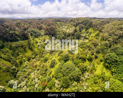 Vue aérienne de la route de Hana Maui Hawaii Banque D'Images