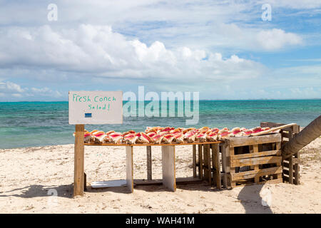 Stand de souvenirs en bois primitive sur la plage de Providenciales, Turks et Caicos. Banque D'Images