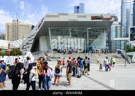 Le port de Toronto et ferry pour l'île de Toronto ainsi que la tour CN, Toronto, Ontario, Canada, Amérique du Nord, le lac Ontario Banque D'Images