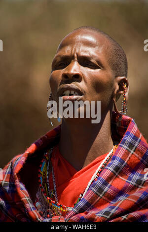 Portrait homme Masai, Kenya, Afrique de l'Est Banque D'Images